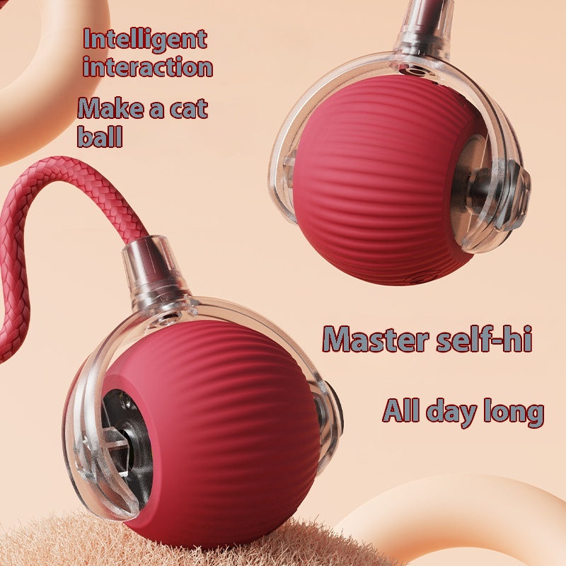 BNMQ self rolling interactive electric ball toy for dogs and cats 360 auto-rolling | Balle électrique auto-roulante interactive BNMQ 360° pour chiens et chats