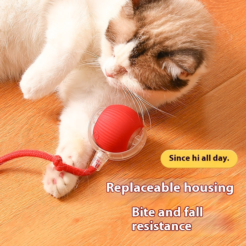 BNMQ electric pet ball USB rechargeable | Balle électrique BNMQ rechargeable USB